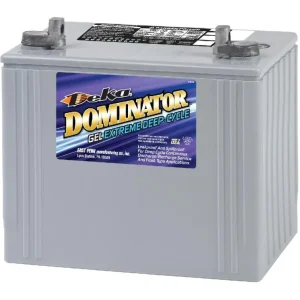Prevailer Batteries PV24 Replacement GP24 Gel