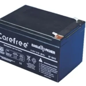 Eagle-Picher Batteries CF-12V10