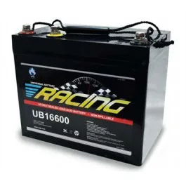Universal Battery UB16600