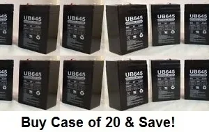 20 Pack 6V 4.5AH AGM Batteries