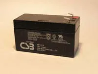 CSB Batteries GP1213