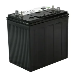 EVGC6A-A AM Discover Battery 6 Volt 220AH AGM Dual Terminal