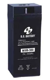 BB Battery MSB-300