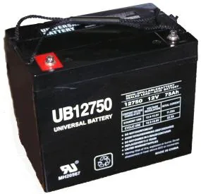 Universal Battery UB12750
