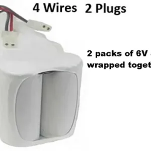 100003A066 6 Volt Battery