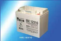Union Battery MX12310